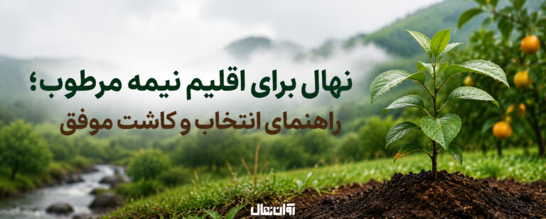 نهال برای اقلیم نیمه‌مرطوب؛ راهنمای انتخاب و کاشت موفق